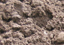 A sample of our screened topsoil.