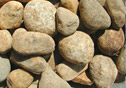 A sample of our inch-and-a-half smooth river stone.